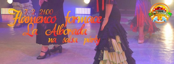 20150207-banner-flamenco-formace-la-alborada-570