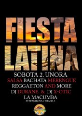 20130202-fiesta-latina-566x800