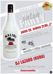 20140523-white-party-800