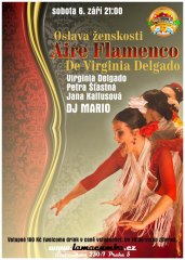 20140906-aire-flamenco-800