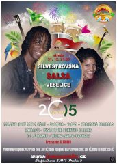 20141231-silvestrovska-veselice-800